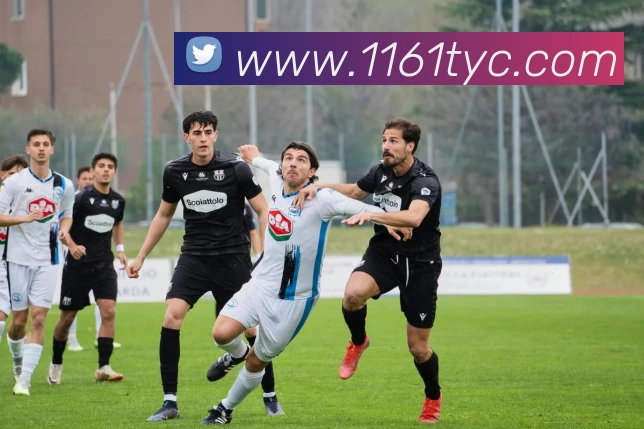 太阳城品牌故事