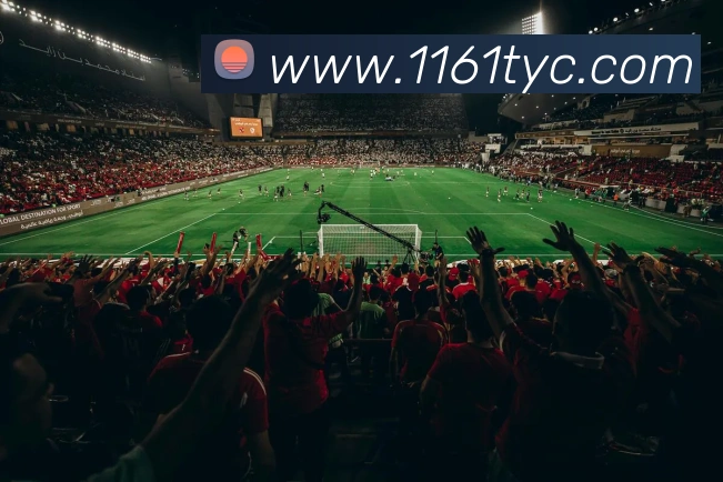 多媒体互动体验